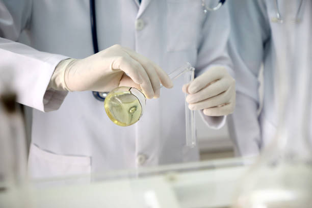 Laboratory medical research . stock photo