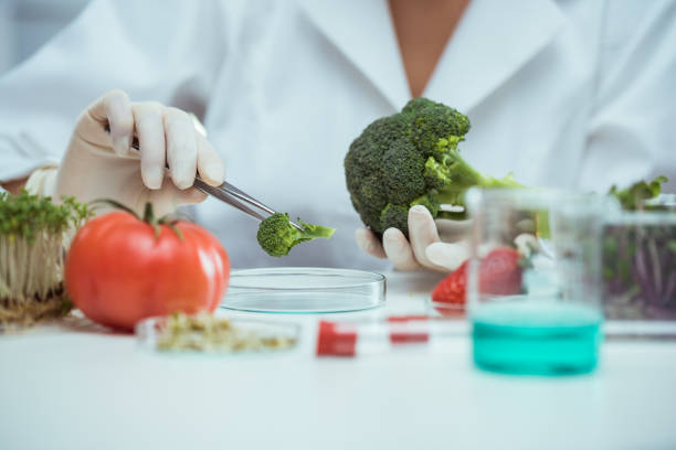Woman doing GMO test in laboratory
