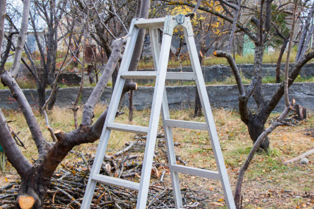 Ladder stock photo