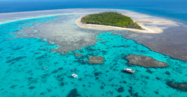 lady musgrave island, southern barrier reef, queensland australia - great barrier reef stok fotoğraflar ve resimler