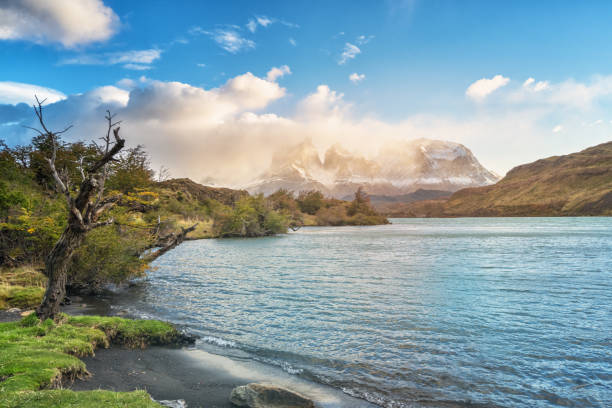 Lago del Pehoe in Torres del Paine national park, Patagonia, Chile. stock photo