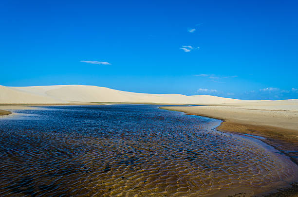 Lagoon and dunes stock photo