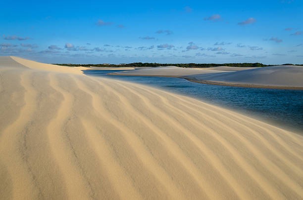 Lagoon, dunes and sand in a National Park stock photo