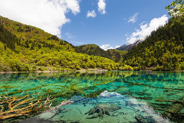 Lake at Jiuzhaigou, Sichuan, China stock photo