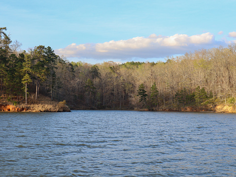 Just a sleepy little lake cove set among the shores of beautiful Lake Sinclair (Milledgeville, Georgia).