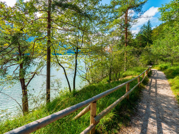 Lake Fuschlsee, Austria, in summer Wide angle shot of picturesque lake Fuschlsee in Austria in summer. fuschl lake stock pictures, royalty-free photos & images
