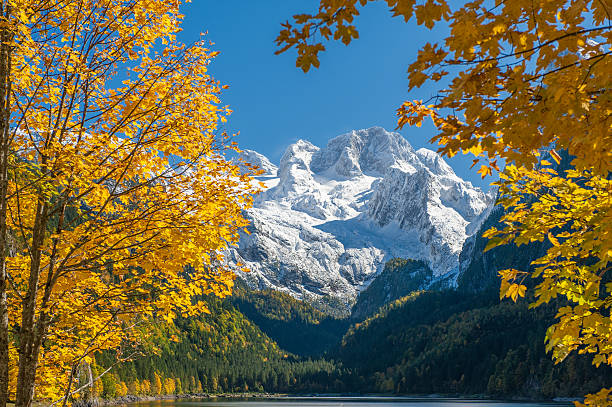 Lake Gosau with Glacier Dachstein, Fall Colors, Nature Reserve Austria Gosausee with glacier Dachstein - Nature Reserve Austria. Late afternoon sun. dachstein mountains stock pictures, royalty-free photos & images