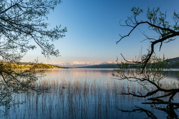 Lake Hallwil with trees and mountain panorama stock photo
