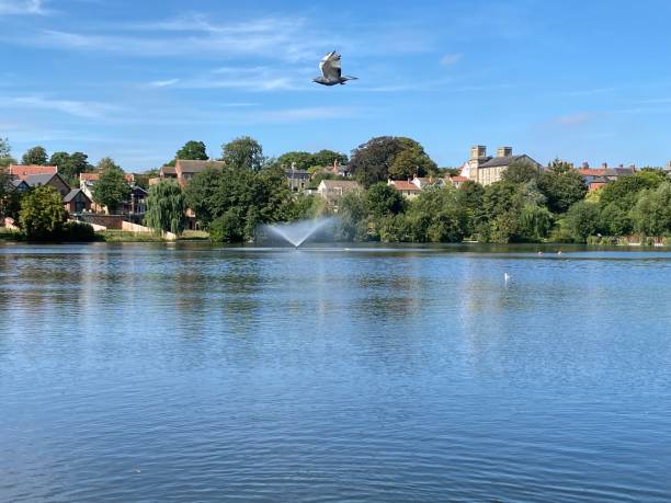 A Lake in Diss in Norfolk England stock photo