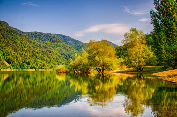 Lake Kruth Wildenstein Lake Kruth Wildenstein vosges department france stock pictures, royalty-free photos & images