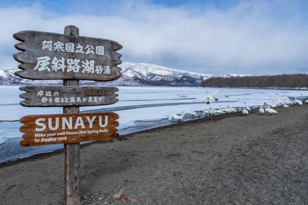 sjön kussharo (akan mashu national park), hokkaido, japan. - ice bath in natural frozen lake bildbanksfoton och bilder