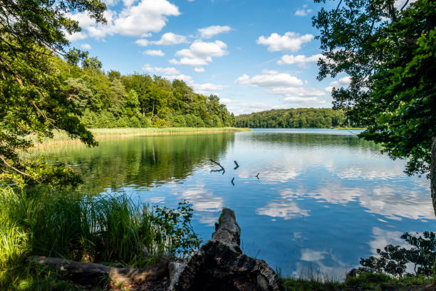 lake Liepnitzsee in Brandenburg in summer, Germany stock photo