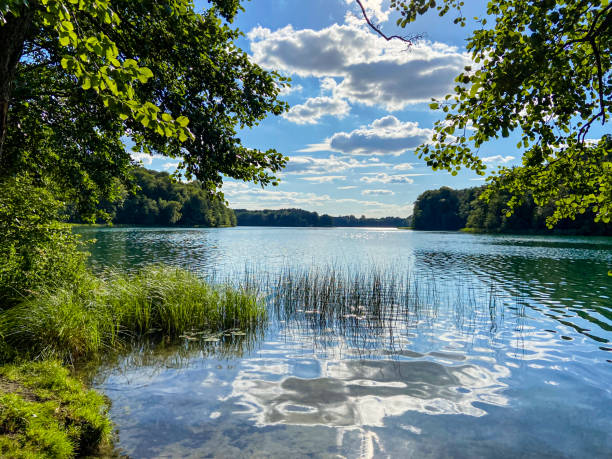 lake Liepnitzsee in Brandenburg in summer, Germany stock photo
