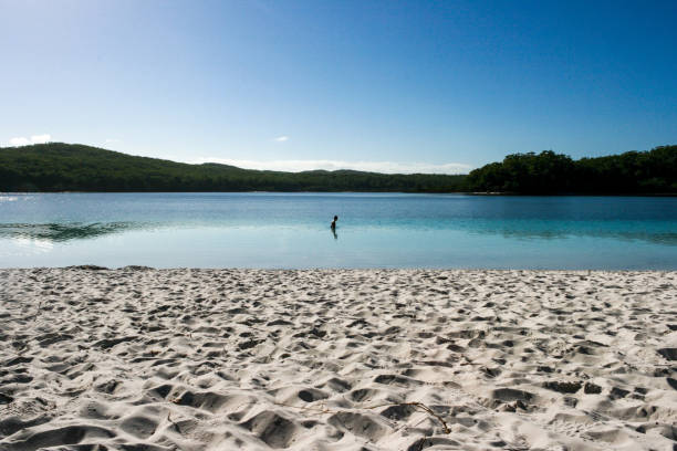 lake mckenzie, fraser island, queensland, australië, grootste zandeiland ter wereld - zoetwaterkwal stockfoto's en -beelden