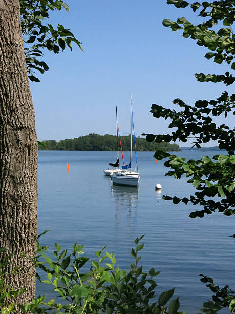 Lake Menona, Madison, Wisconsin Sail Boat, Tree Branches and Trunk stock photo