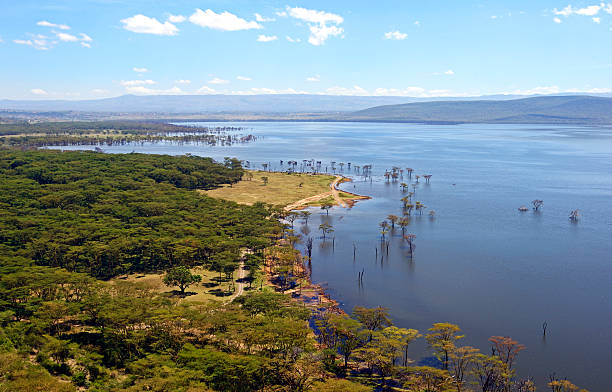 Lake Nakuru in Kenya Peaceful view on the lake Nakuru. Africa. Kenya lake nakuru stock pictures, royalty-free photos & images