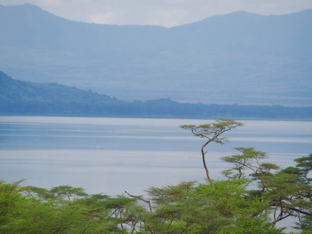 Lake Nakuru National Park Lake Nakuru National Park Landscape lake nakuru national park stock pictures, royalty-free photos & images