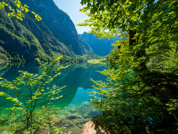 Lake Obersee, Berchtesgaden, on a sunny summer day stock photo