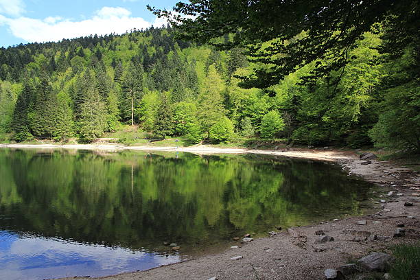 Lake of Ravens in the Vosges stock photo