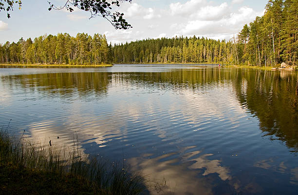 Lake stock photo