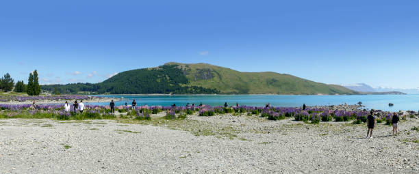 Lake Pukaki in New Zealand stock photo