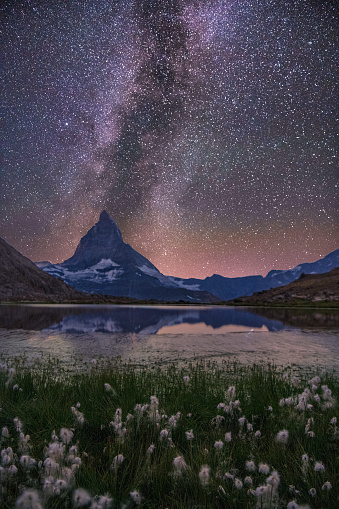 Lake Riffelsee at night milky way over Matterhorn with cotton flowers on foreground Swizlerland