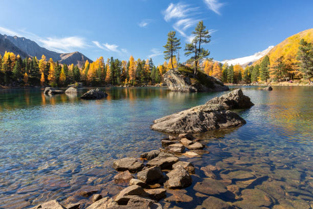 lake Saoseo with its vibrant colours of autumn on a bright sunny day lake Saoseo with its vibrant colours of autumn on a bright sunny day alpine lakes wilderness stock pictures, royalty-free photos & images