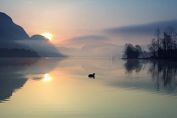 Lake Sunrise stock photo