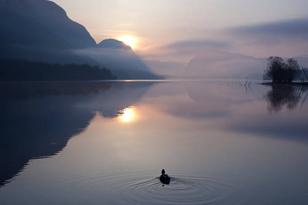 Lake Sunrise stock photo