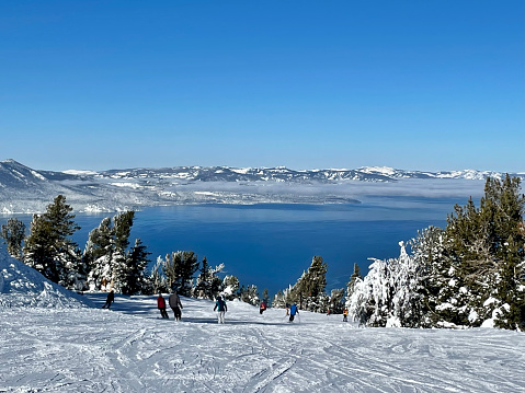 View of Lake Tahoe framed by snow covered trees from high up Tahoe ski resort.