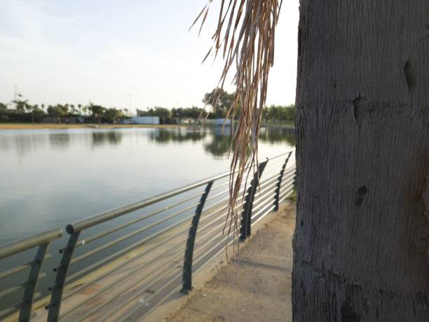 vista lago in menachem begin, darom park, tel-aviv, israele - barak foto e immagini stock