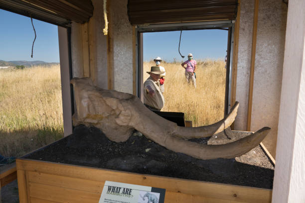 Littleton, Colorado, USA - July 11, 2020: Members of the public visit and explore the Lamb Spring Archaeological Preserve on the Colorado prairie just east of the foothills where the skull (cast displayed) of Molly, a female Columbian Mammoth over 13,000 years old was found.