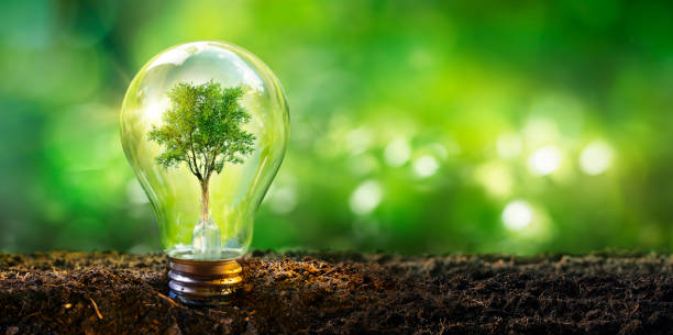 lampe mit baum - ökologie energieentwicklungskonzept - romolotavani stock-fotos und bilder