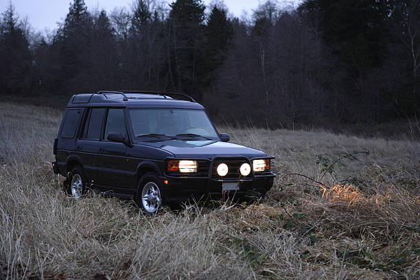 A Landrover Discovery shot in a grassy field