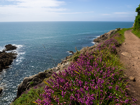 Landscape along the coastline in Brittany during a wonderful sunny day