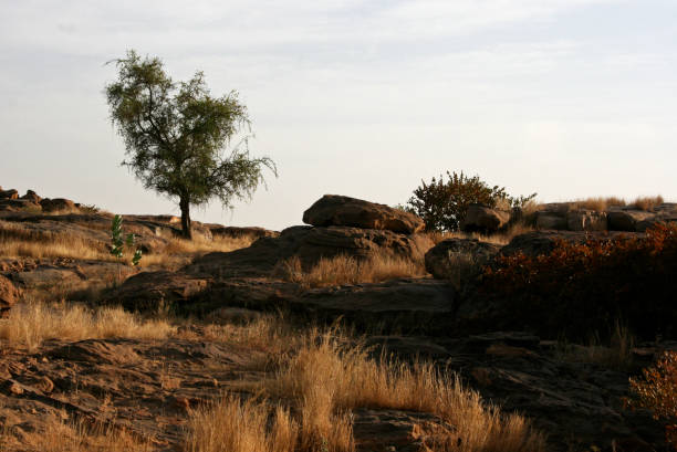A landscape from Mali, Burkina Faso stock photo