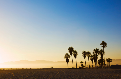 Landscape image of Venice Beach, California at sunset 