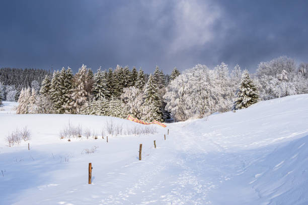 Landscape in winter time in the Thuringian Forest near Schmiedefeld am Rennsteig, Germany stock photo