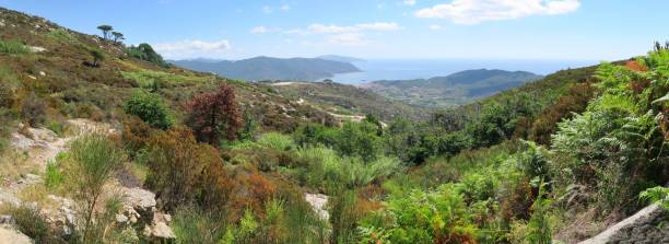 landscape near Marina di Campo in south part of island Elba in Italy stock photo