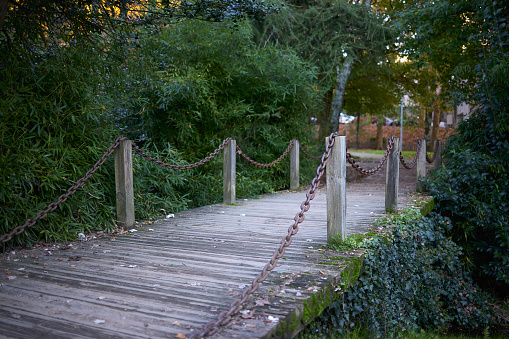 Small wooden bridge over a stream.