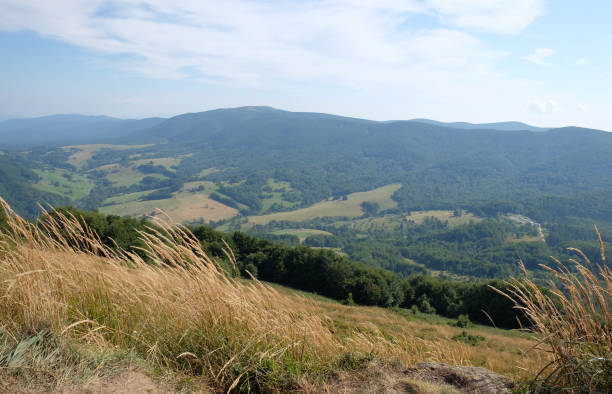 Landscape of Bieszczady National Park in Poland, view from hill stock photo