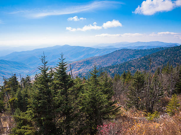 Landscape of Great Smoky Mountains stock photo