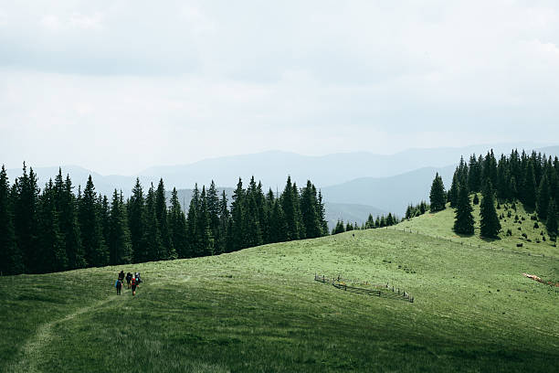 Landscape of mountains and meadow stock photo