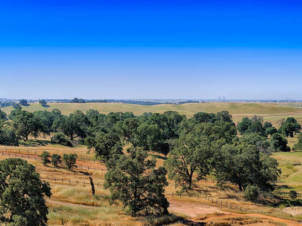 Landscape of rolling hills, trees and a bright blue sky near Rancho Cordova California stock photo