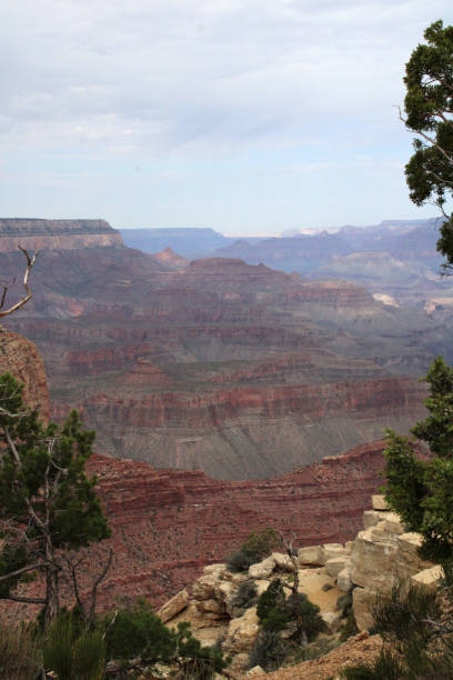 Landscape of the Broad Grand Canyon Vertical View with Rocks and Trees in the Foreground stock photo