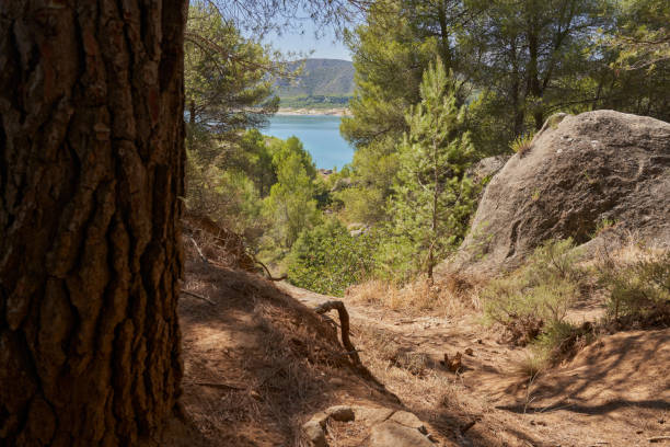 landscape of the route of faces in the buendia reservoir guadalajara - buendia stok fotoğraflar ve resimler