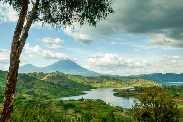 Landscape of the Virunga Mountains in Rwanda stock photo