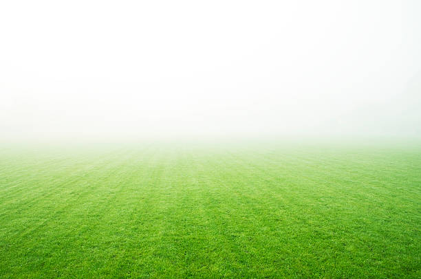 A landscape picture of a green field covered in fog stock photo
