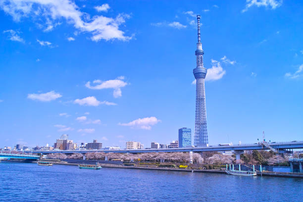 Landscape seen from the embankment of the Sumida River Landscape seen from the embankment of the Sumida River in Asakusa Spring tokyo sky tree stock pictures, royalty-free photos & images