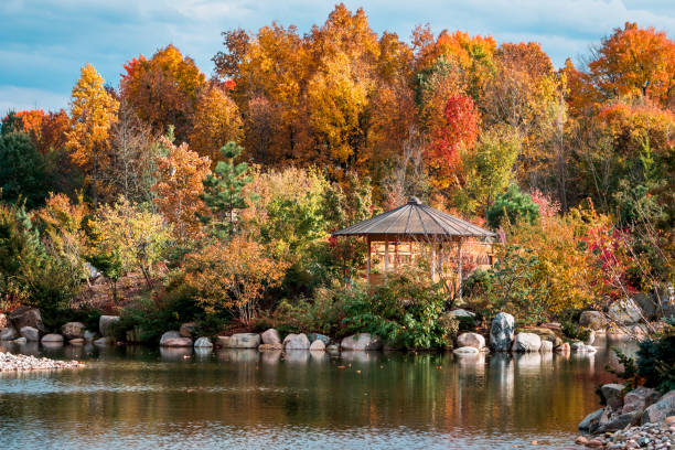 Landscape shot of the japanese gardens in the fall  at the Frederik Meijer Gardens stock photo